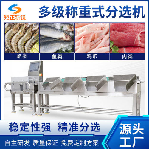 冷冻鱼虾肉生鲜流水线多级分选秤在线检重复检动态称重分选机智能