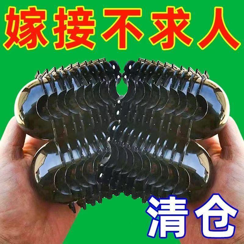 植物高压盒生根繁殖神器高空压枝盒扦插嫁接园林树木生根繁殖器