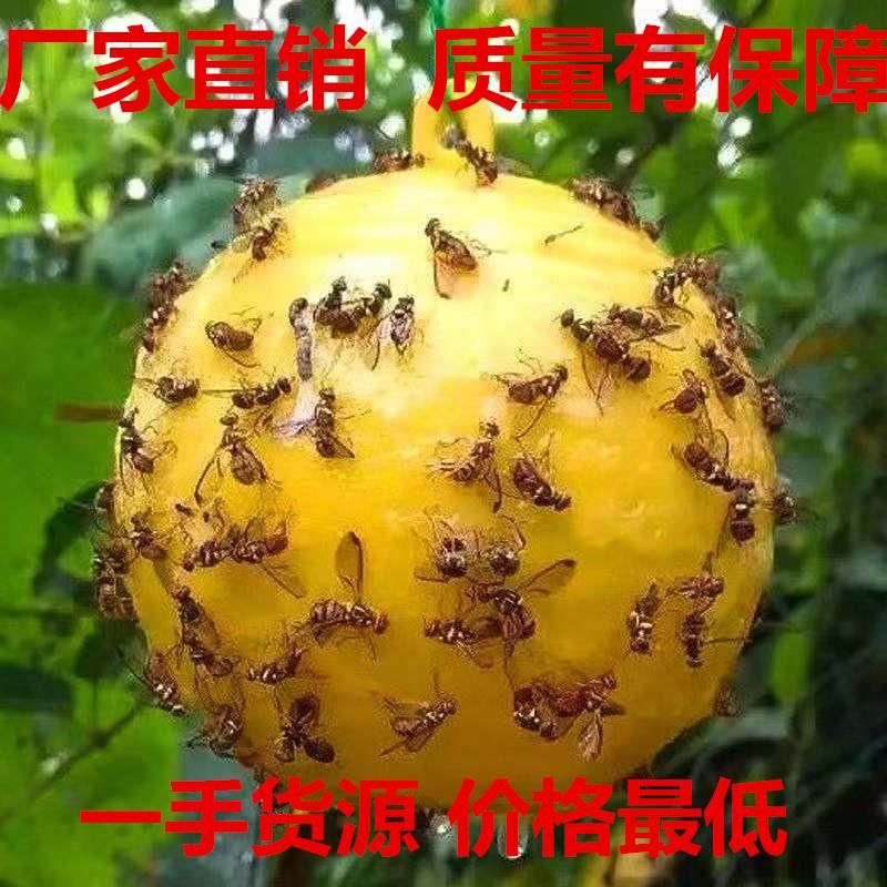 诱蝇球柑橘大实蝇瓜果实蝇诱捕器灭果蝇粘虫球板诱虫球针蜂引诱剂