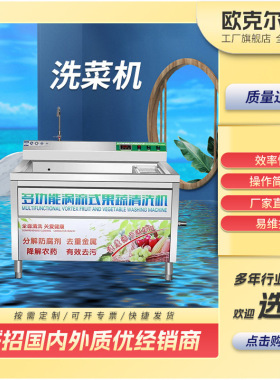 定制商用果蔬清洗机水果蔬菜全自动净菜清洗设备果蔬去农残