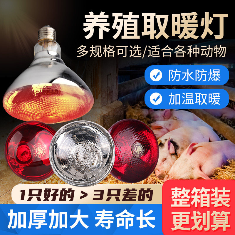 猪用保温灯养殖场取暖灯泡小鸡育雏加热烤灯防水防爆兽用养殖