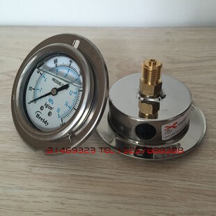 轴向带边耐压力表NZ液气表.