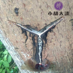 金缮修复材料工具大漆土漆天然漆锯瓷紫砂壶修补生漆天然大漆