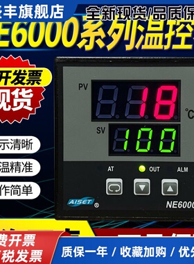 上海亚泰仪表温控器NE6000-2温度表NE-6411V-2D(N) 6412 6431V