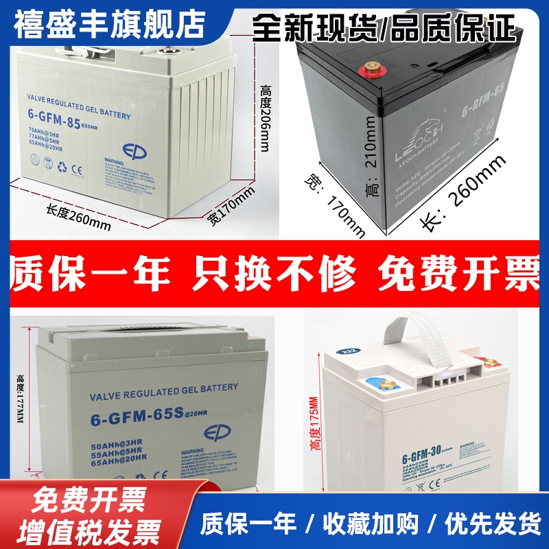 合力杭叉中力小金刚电动叉车电瓶蓄电池12V30A65A85A搬运车锂电池