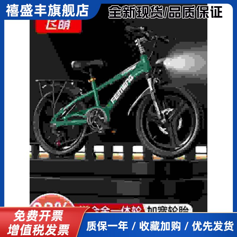 飞萌儿童自行车6到12岁8-10-15男女孩减震小单车青少年变速山地车