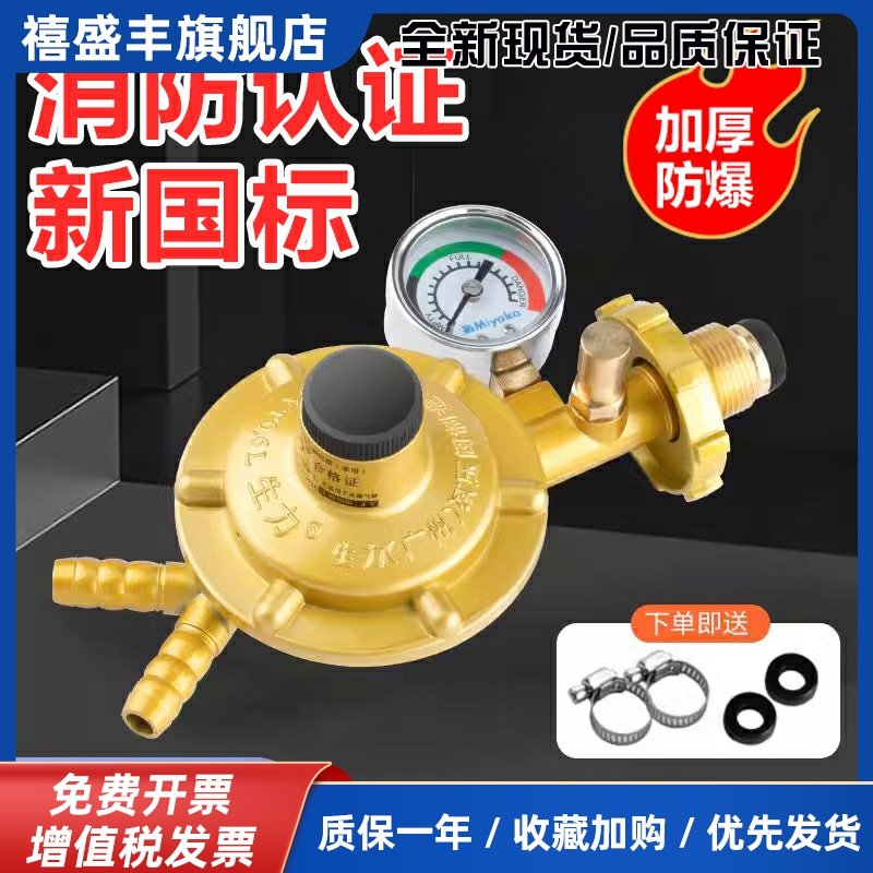 液化气减压阀家用新国标煤气罐安全阀自动关闭热水器燃气灶一拖二