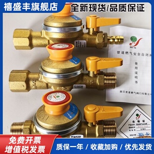 全铜世亚燃气自闭阀纯铜世亚天然气自闭阀全铜燃气公司同款安全阀