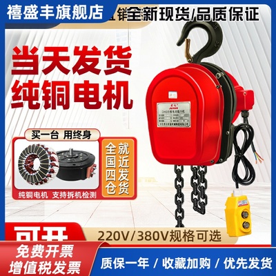 环链电动葫芦380v起重提升机1/2吨3/5吨10吨220v吊机家用小型升降