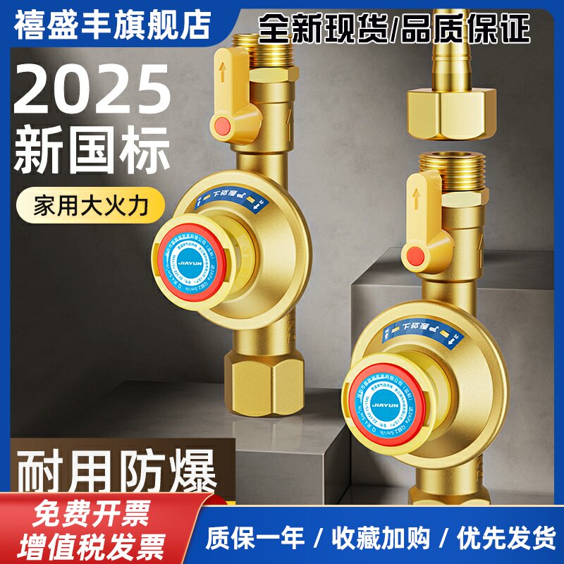 家韵新国标燃气自闭阀纯铜家用煤液化气热水器自闭阀低压安全阀门