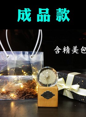 蒲公英标水晶球制作原材料包天然干永生手工暖场活动