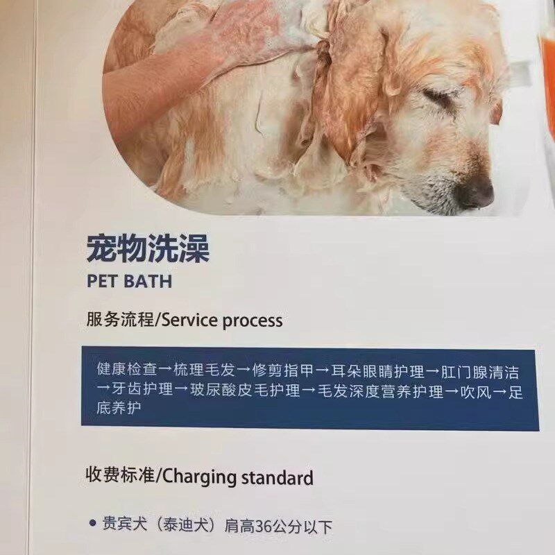 宠物店价目表价格表设计制作洗澡店洗护价目表展示牌养生诊所服务