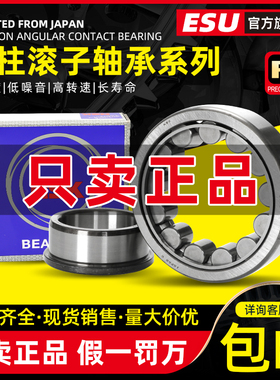 进口NSK日本NF304 305 306 307 308 309 310EW EM C3圆柱滚子轴承