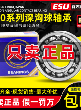 日本NSK进口高速轴承16001 16002 16003 16004 16005 16006 16007