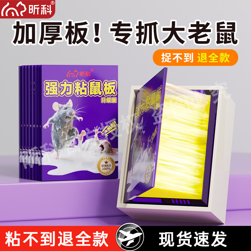 强力粘鼠板老鼠贴家用正品超强力胶捉粘大老鼠一窝端灭鼠捕鼠神器,居家日用,灭鼠笼/捕鼠器,淘宝优惠券,粉丝福利购,淘宝优惠卷