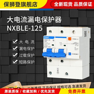 漏电保护器空气开关NXBLE-125家用总闸漏保2P大电流80A100A
