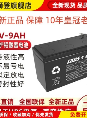 雷迪司12V9AH UPS电源 蓄电池更换MF12-9AH不间断电源用于H1000M