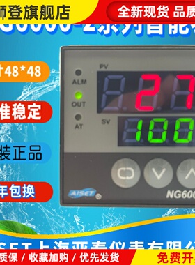 NG6000-2上海亚泰仪表温控器NG-6401V 6411V 6412V 6431V正品现货
