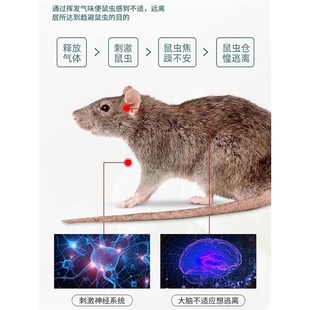 夹 老鼠扑捉器老鼠驱赶神器一锅端药驱鼠家用药超强力2025新款