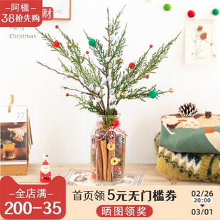圣诞树装 阿楹 饰材料桂皮松果绿植场景布置餐桌插花氛围花瓶摆件