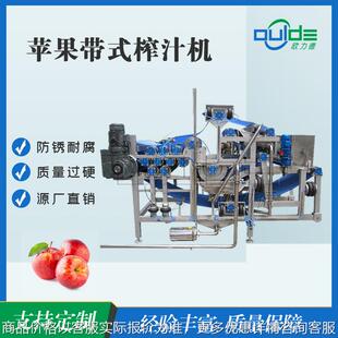 厂家优惠全自动工业果蔬榨汁机不锈钢蔬菜水果脱水苹果梨子柠檬