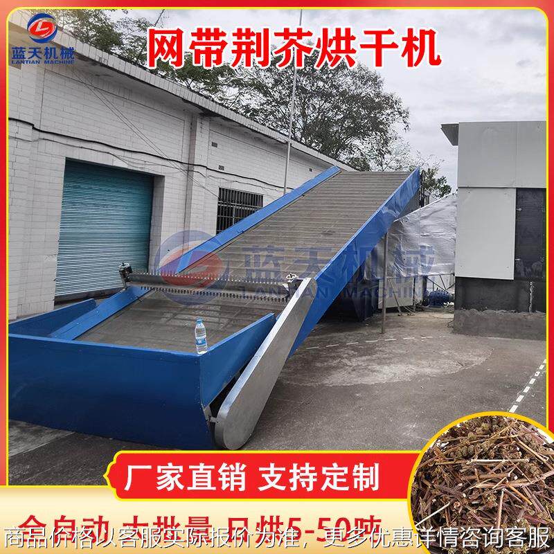 网带荆芥烘干机 香荆芥姜药材烘烤设备 芥线芥假苏四棱杆蒿干燥机