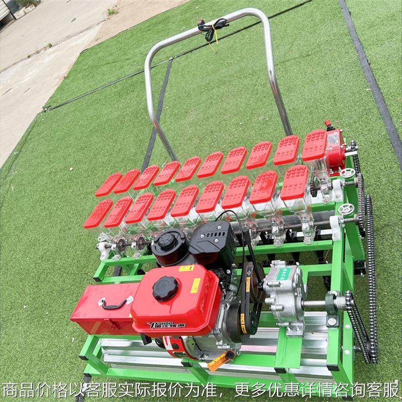工厂直发蔬菜播种机 农用精密下种点播机 人参药材种植机,农机/农具/农膜,播种栽苗器/地膜机,淘宝优惠券,粉丝福利购,淘宝优惠卷