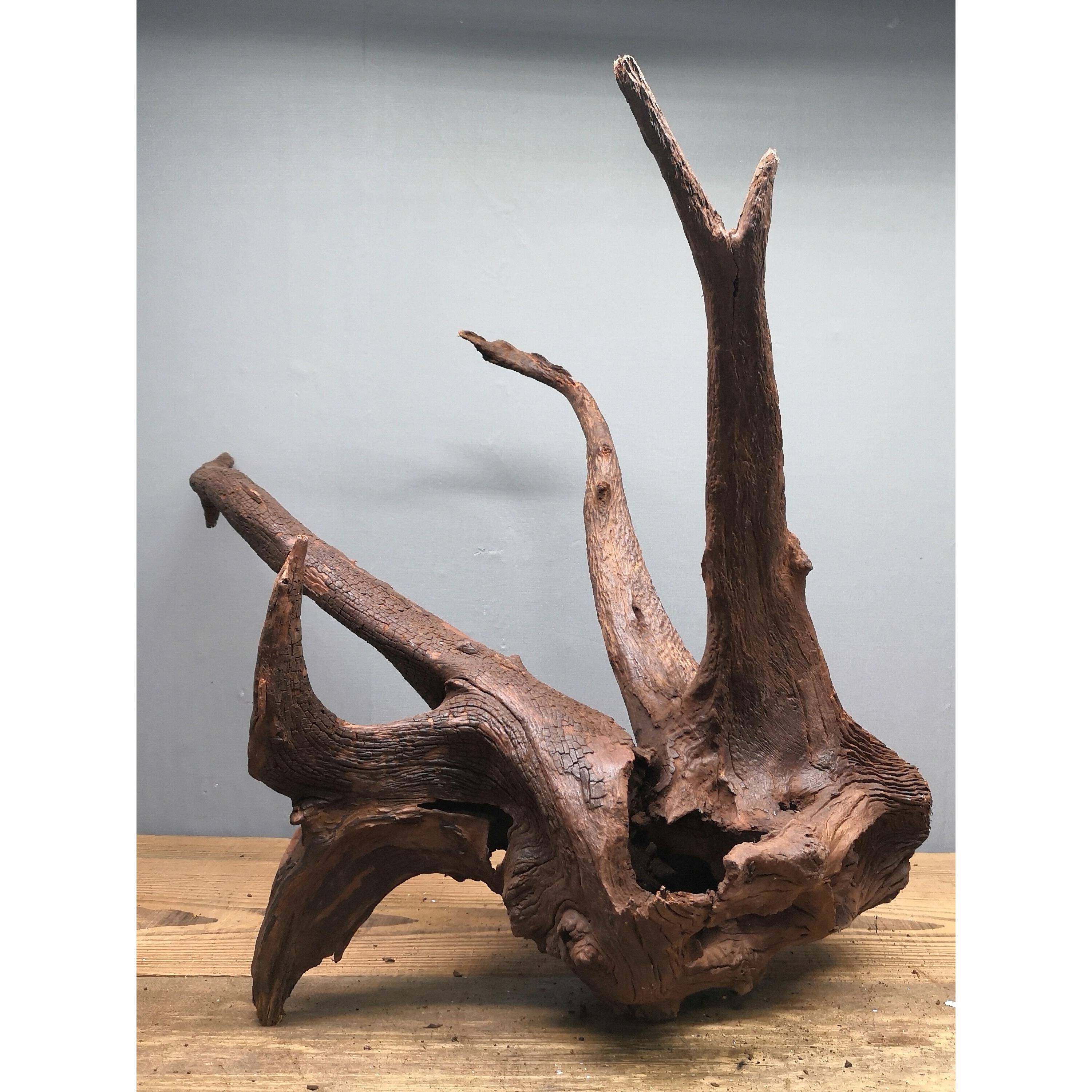 紫柚木寄居蟹造景专用攀爬躲避沉木爬宠饲养沉木雨林缸造景木装饰,纺织面料/辅料/配套,纺织机械配件,淘宝优惠券,粉丝福利购,淘宝优惠卷