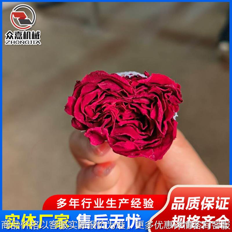 玫瑰花低温干燥机 墨红玫瑰花茶冻干机 玫瑰花露真空冷冻干燥机