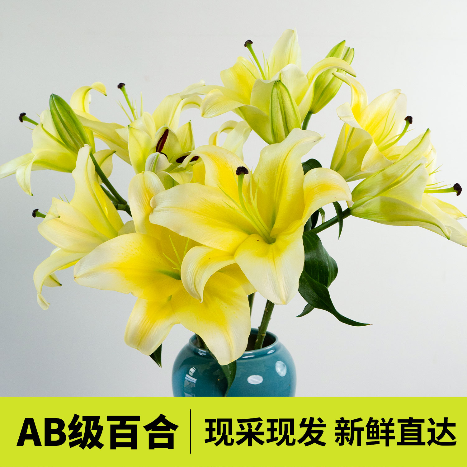 1枝3-4头AB级百合鲜切花