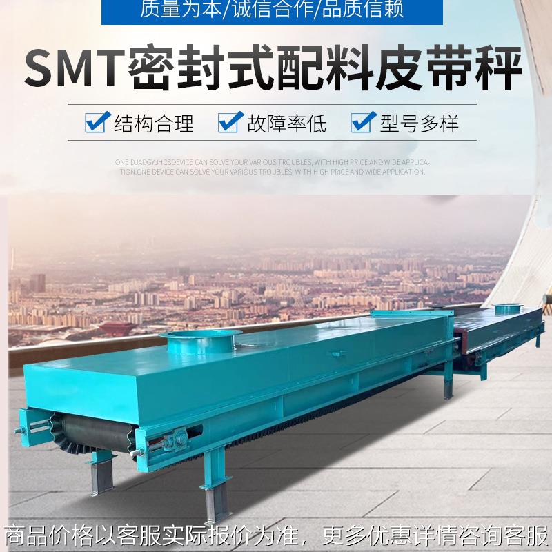厂家供货密封式变频调速皮带定量给料机 变频调速密封配料皮带秤