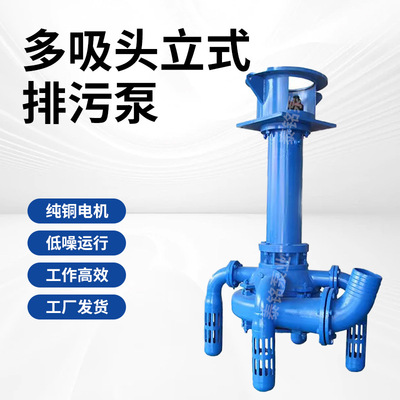 80PWDL57.9-44.4立式多吸头排污泵高扬程多吸头高铬合金液下泵