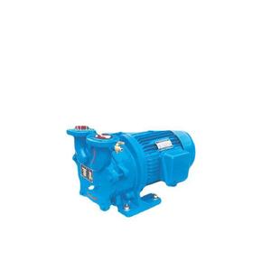 上海 0NC耐腐蚀真空泵LONGYA真空泵2BV25B 2BVA2061