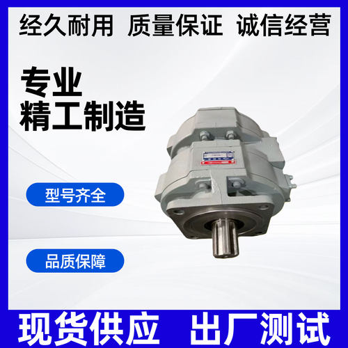 长江齿轮泵油泵双联泵CBY