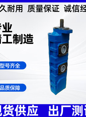 液压泵钻机采煤掘进机高压泵天津PERMCO泊姆克齿轮泵1162001154T