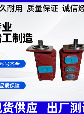 CBQL-F532/F510-BFHL CBNL-F563/F520-BFHL AFH AFP液压泵齿轮泵