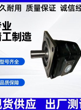 液压泵煤机钻机1121002283泊姆克齿轮泵P124B0820YZA-54GWZA02-1
