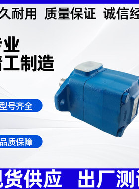 45V-60A-1B-22R威格士叶片泵45V-38A/42A/45A/50A-1A/1B-22R油泵