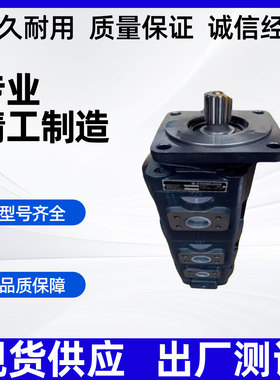 双联三联齿轮泵泉城CBGJ2063/2032 2080/2100 2050 JHP2100/2080