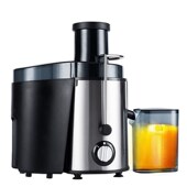 原汁榨汁大口径汁渣分离全自动炸水果蔬菜