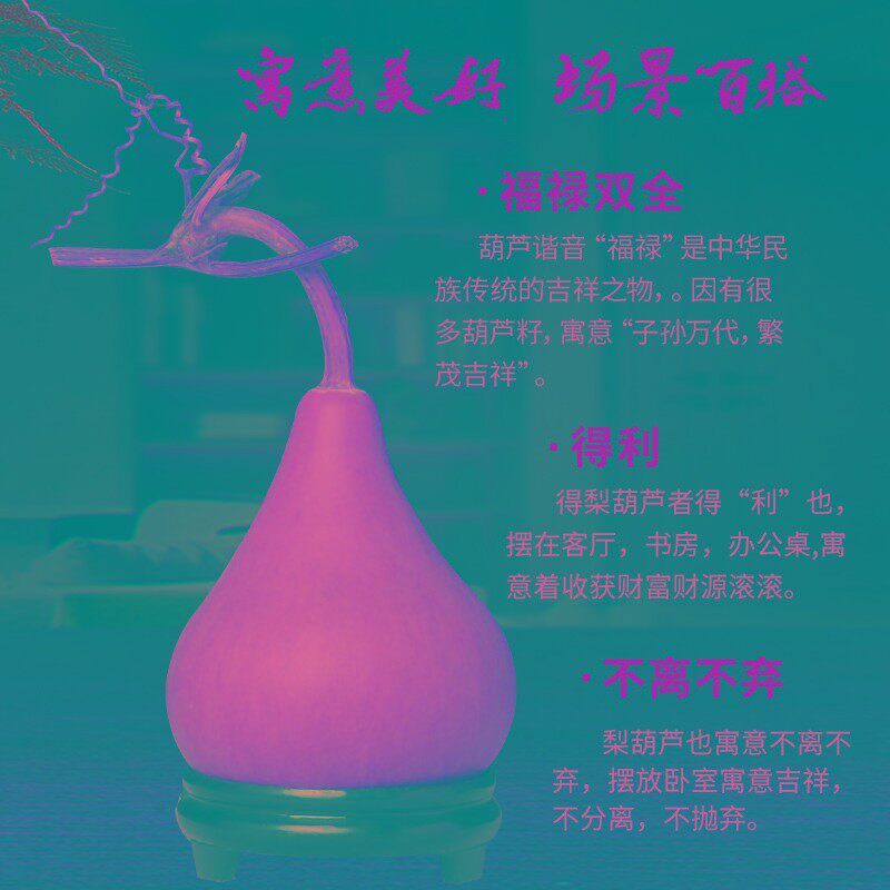 葫芦文玩异形天然龙头本长蒜头老皮玄关客厅门口送底座