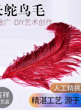 厂家现货供应批发60-65CM粗干彩