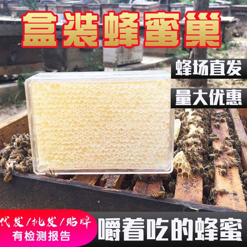 蜂巢蜜 嚼着吃的蜂蜜 百花新巢蜜 土特产成熟蜂窝蜂蜜500g