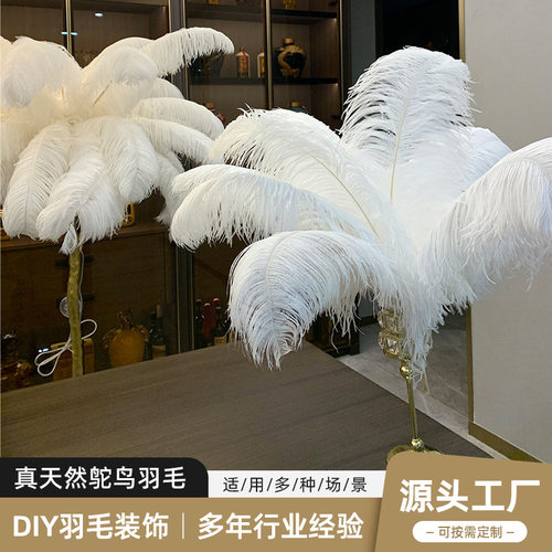 宽毛粗杆白色鸵鸟羽毛40-80cm装