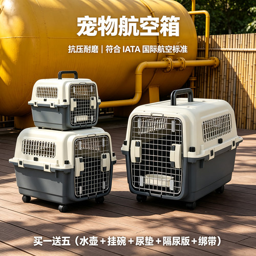国航宠物航空箱猫咪专用IATA标准