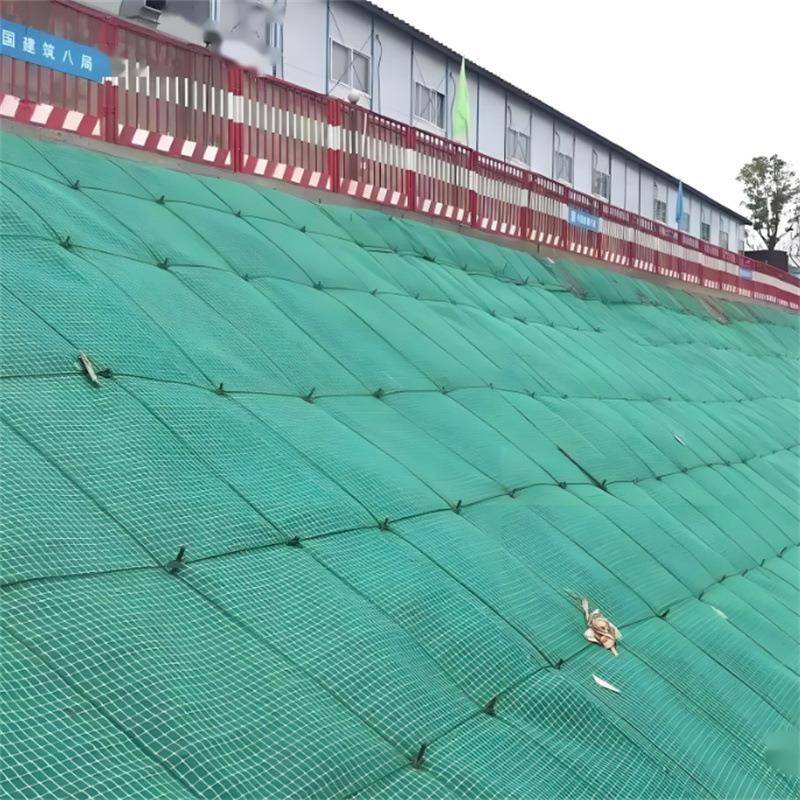 支护格栅布厂家坑ZDO 护坡装色配式复合格栅GRF 绿基用装配式复护