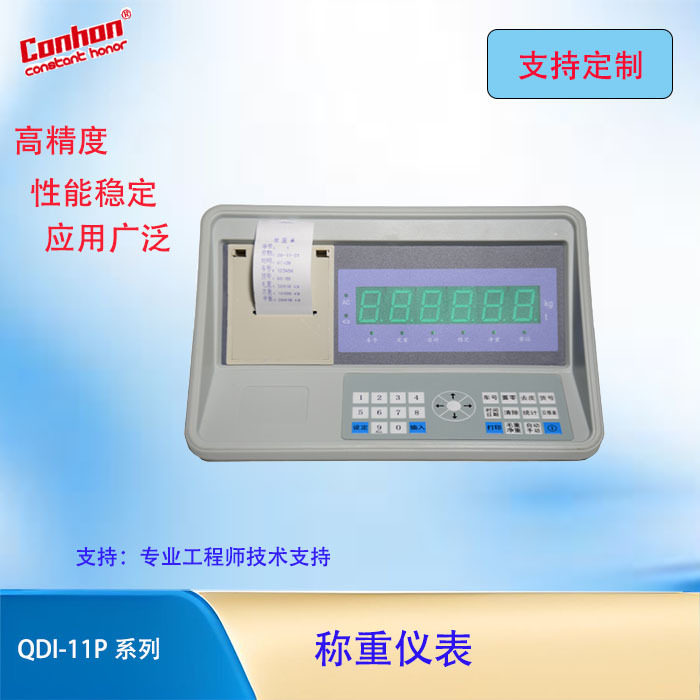 QDI-11P大地磅汽车衡打印仪表图片
