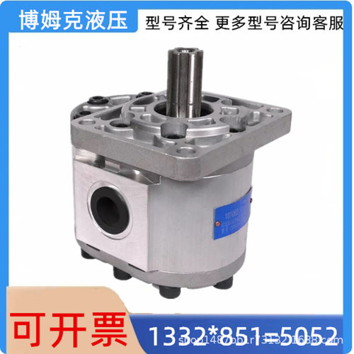 合肥长源齿轮油泵CBNC-F510-540