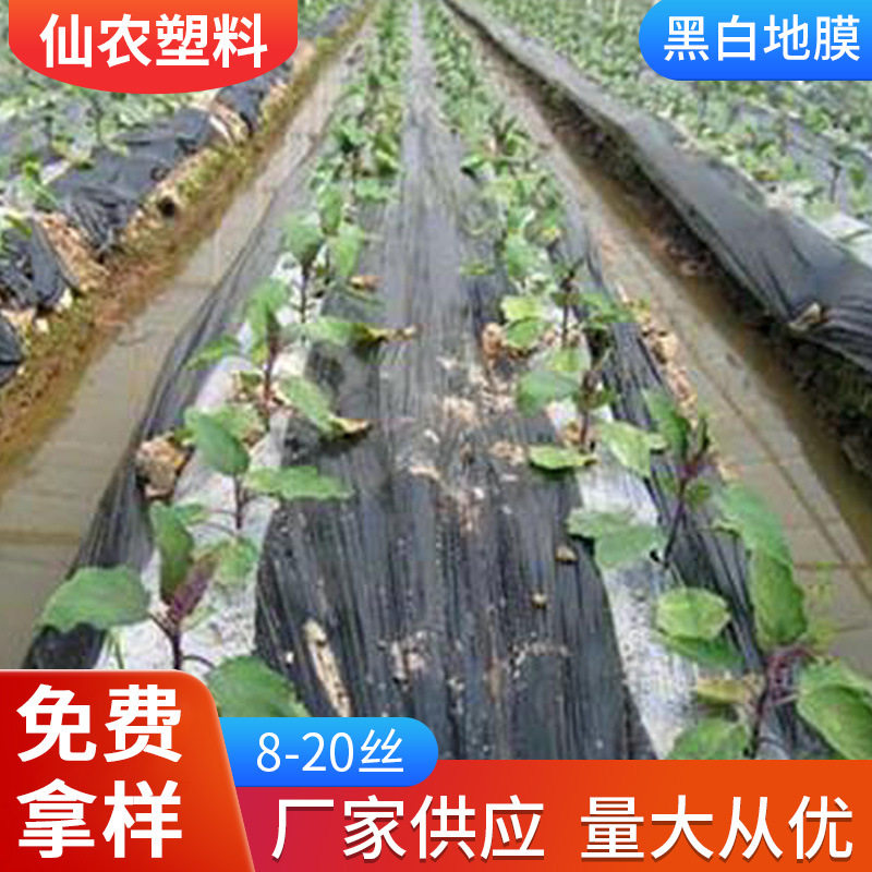 农用加厚黑白双白大棚地膜