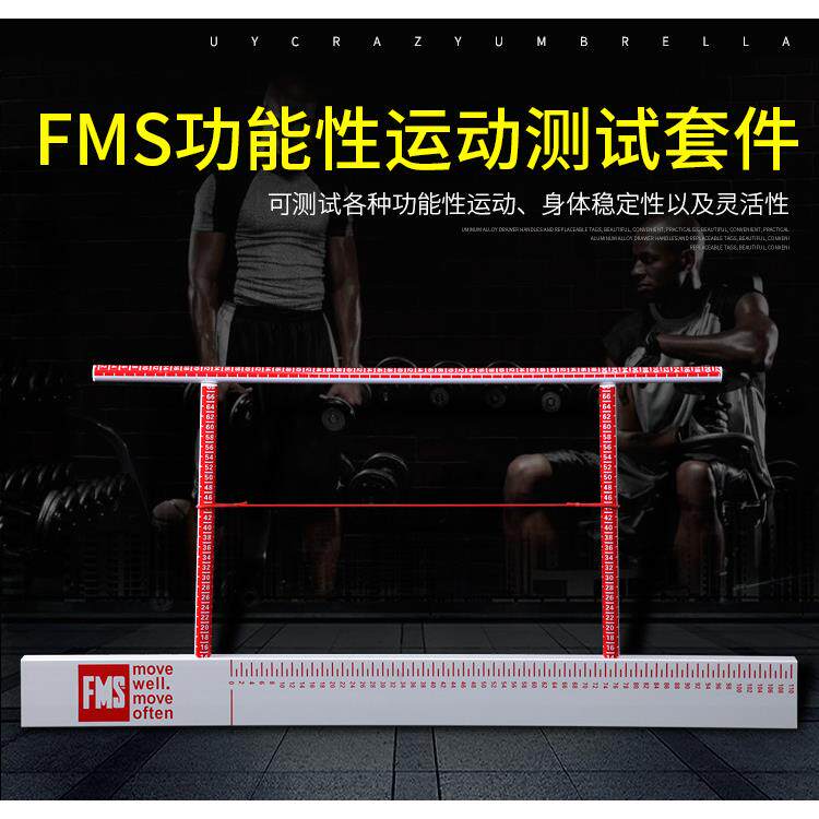 fms功能性动作筛查套件fms测试工具评估板YBT运动测试套件